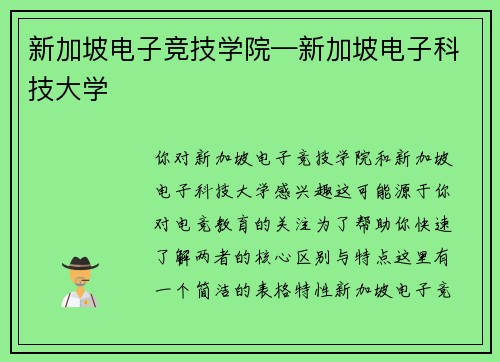 新加坡电子竞技学院—新加坡电子科技大学